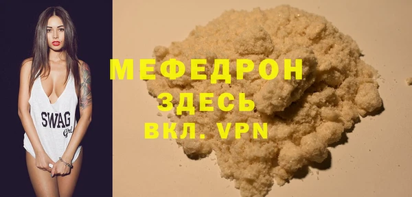 индика Козельск