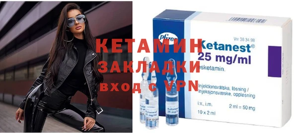 индика Козельск