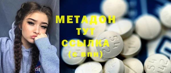 индика Козельск
