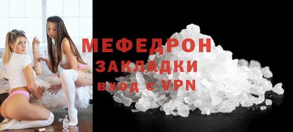 индика Козельск