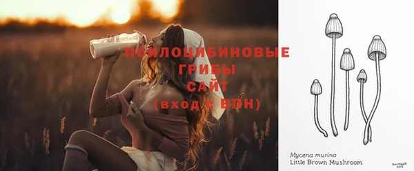 прущие крисы Козловка