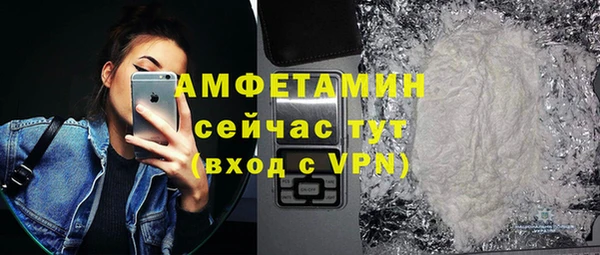 индика Козельск
