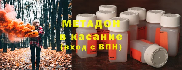 индика Козельск