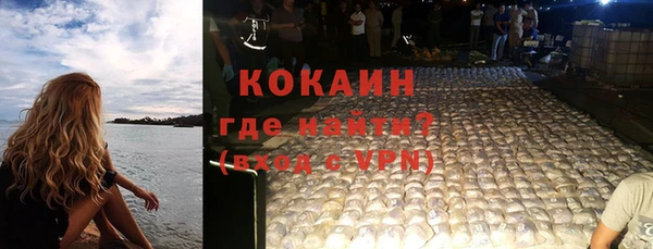 индика Козельск