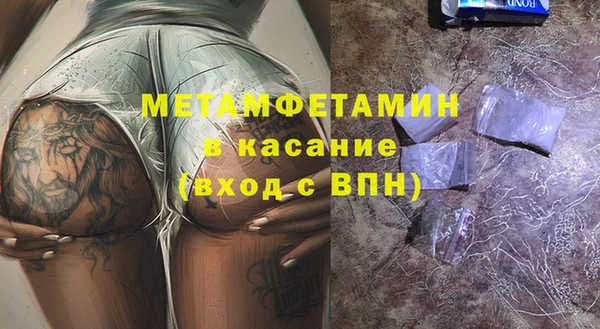 индика Козельск