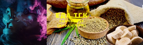 индика Козельск