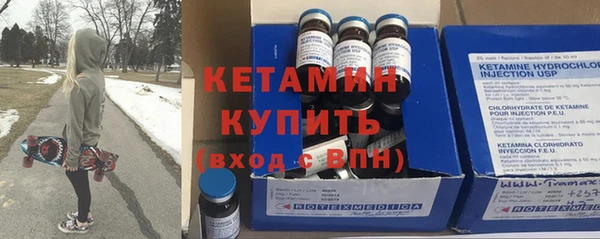 индика Козельск