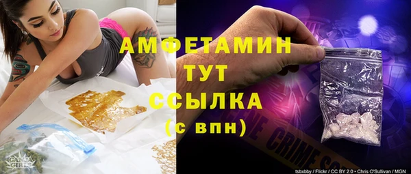 индика Козельск